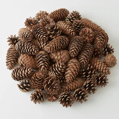 Produktbild von 200 Tannenzapfen Dekoration, Tannenzapfen Zum Basteln, Natürliche Kiefernzapfen Für Weihnachtsbaum, Tischdeko Und Handwerk