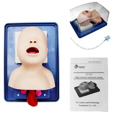 Obrázok produktu pre Simulátor intubačného postupu pre výučbu