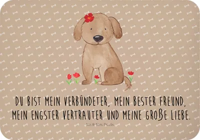 Produktbild von Mr. & Mrs. Panda magnet Hund Dame - Hundeglück - Geschenk, whiteboardmagnet, Liebe, Lieb, Sprüche, Verliebt, Hunde, Kühlschrankmagnet, haftmagnet, zettelhalter