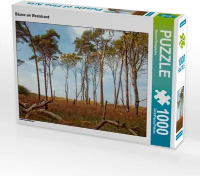 Produktbild von CALVENDO Puzzle Bäume am Weststrand 1000 Teile Puzzle quer | 1000 Teile Lege-Größe 64x48cm Foto-Puzzle für glückliche Stunden