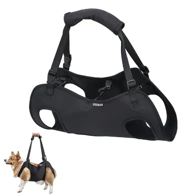 Image de Harnais de soutien pour chiens âgés ou blessés (taille XL)