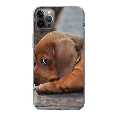 Produktbild von MuchoWow® Handyhülle Schutzhülle Hülle für iPhone 12 Pro Max Dackelwelpe liegt am Rande des Bürgersteigs Silikon Softcase Handy Hülle - Hartschale