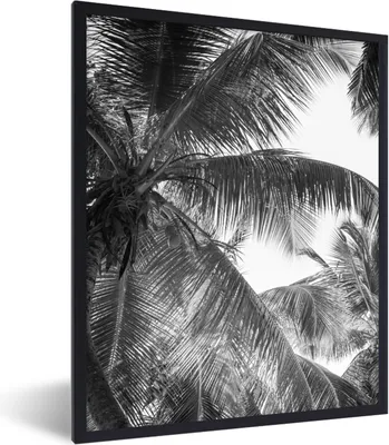 Produktbild von MuchoWow® Gerahmtes Poster Palmwedel - Vintage - Natur 60x80 cm - Poster mit Schwarzem Bilderrahmen Wandposter Rahmen Foto Bilder - Premium - Wanddeko Wohnzimmer