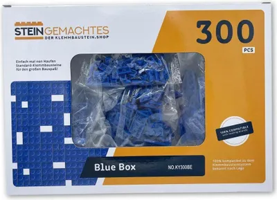 Image de Ensemble de 300 plaques en pierre bleue 1