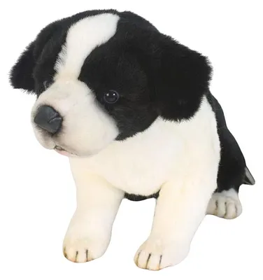Image de Anima Peluche border colley bebe assis 25cm