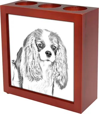 Produktbild von Cavalier King Charles Spaniel - Stifthalter mit Hund, Schreibtischorganizer mit Aufdruck, personalisierte Schreibtischdekoration der Marke Art-Dog