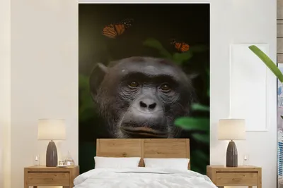 Produktbild von MuchoWow® Fototapete für Wohnzimmer oder Schlafzimmer Wandtapete Vinyl Motivtapete Affe - Dschungel - Schmetterling - 145x220 cm - Wanddekoration