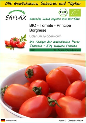 Produktbild von SAFLAX Anzucht Set - BIO - Tomate - Principe Borghese - Solanum lycopersicum - 10 Samen - Mit Mini-Gewächshaus, Anzuchtsubstrat und 2 Töpfen