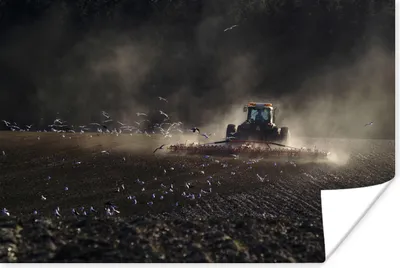 Produktbild von MuchoWow® Poster Traktor - Vögel - Landwirt 180x120 cm - Fotoplakat