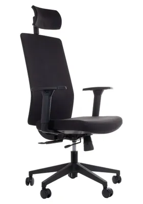 Produktbild von Drehbarer ergonomischer Bürostuhl ZN-807-B, verstellbare Armlehnen, Kopfstütze, verschiebbarer Sitz (vorne-hinten), Schwarz
