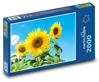 Obrázok produktu pre martinpuzzle - Puzzle 2000 - Slnecnice