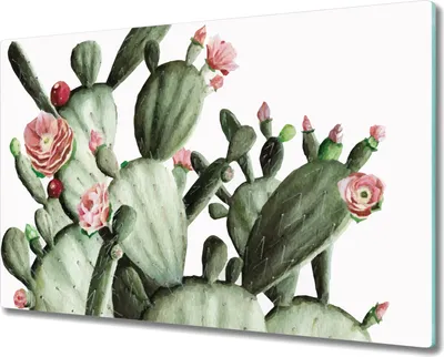Produktbild von Glas-Herdabdeckplatte Glaskeramikkochfeld-Abdeckung Spritzschutz - 80x52 cm - Kaktusblüte Aquarell