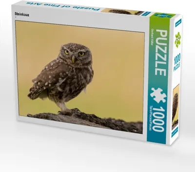 Produktbild von CALVENDO Puzzle Steinkauz | 1000 Teile Lege-Größe 64x48cm Foto-Puzzle für glückliche Stunden