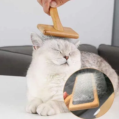 Produktbild von Famanu Tierbürste für Katzen und Hunde - Massagebürste für kurzes, mittleres & langes Haar