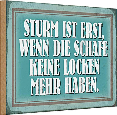 Produktbild von Holzschild Spruch 30x20cm Sturm wenn Schafe keine Locken