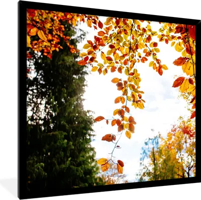 Produktbild von MuchoWow® Gerahmtes Poster Herbst - Laub - Natur 40x40 cm - Poster mit Schwarzem Bilderrahmen Wandposter Rahmen Foto Bilder - Mit Rahmen - Wanddekoration Schlafzimmer
