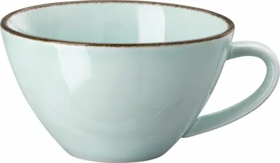 Produktbild von Rosenthal Kombi-Obertasse Mint 10660-405406-14772