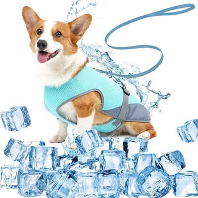 Imagen del producto de Bebedero para perros con diseño transpirable