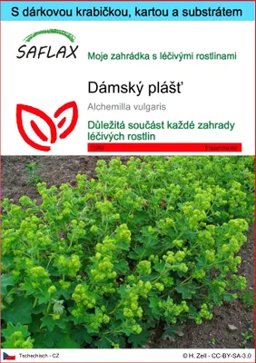 Obrázek produktu pro SAFLAX Dárková sada - dámský plášť - Alchemilla vulgaris - 100 Semena - S dárkovou krabičkou, přepravním štítkem, dárkovou kartou a pěstebním médiem