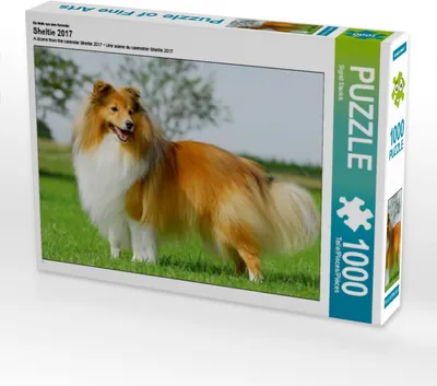 Produktbild von Calvendo Ein Motiv aus dem Kalender Sheltie 2017 1000 Teile Puzzle quer 640x480mm, Starick Sigrid; 7355197