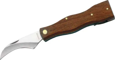 Immagine prodotto di Misuratore di funghi Herbertz, in acciaio inossidabile, con supporto in legno, inclusa una spazzola