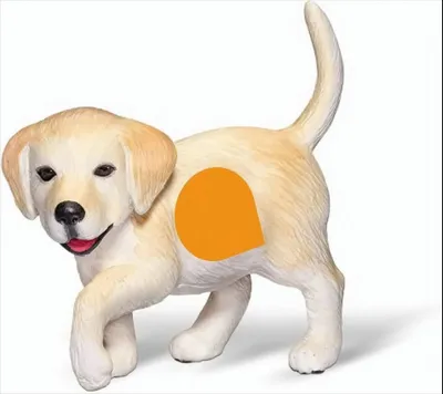 Produktbild von tiptoi® Golden Retriever Welpe
