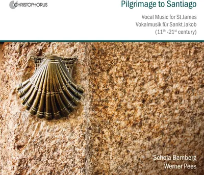 Produktbild von Pilgrimage to Santiago