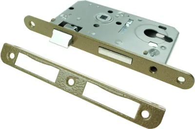 A lock mechanism and its strike plate are shown against a white background.