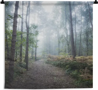 Produktbild von MuchoWow® Wandteppich Wandbehang Wald - Nebel - Weg 60x60 cm Tapisserie Dekoration Wandtuch - Dekorationen - Wand Decke
