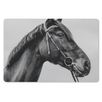 Produktbild von MuchoWow® Schreibtischunterlage Pferd - Halfter - Porträt 60x40 cm - XXL Mauspad - Großes Mauspad