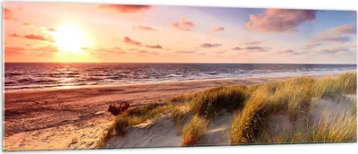Produktbild von Bilder auf glas - Meer Strand Düne - 140x50cm - Glasbilder - Wandbilder - Kunstdruck - zum Aufhängen bereit - Wanddekoration aus Glas - Glas Bilder - Wandbild auf Glas - Einteilig - GAB140x50-3540