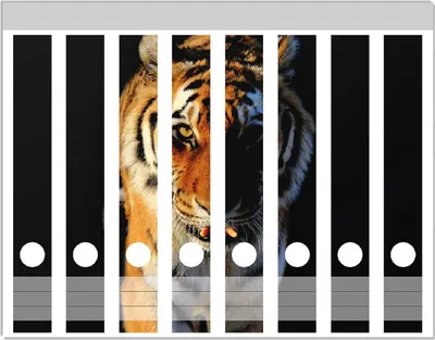 Produktbild von Wallario Ordnerrücken Sticker, selbstklebend für schmale Ordner, 8 Stück, Motiv Laufender Tiger