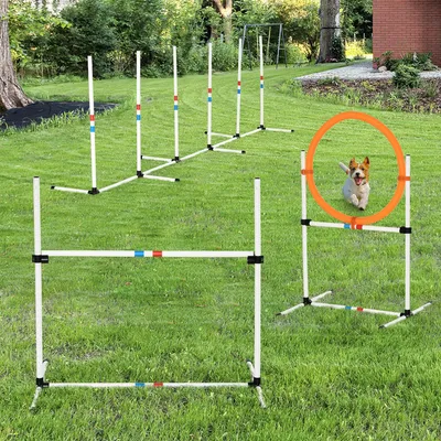 Produktbild von Hunde Agility Set 3-teilig, Hundetrainingset mit Hochsprung, Sprungring, Slalomstangen, PE | Weiß/Gelb | 323 x 67 x 94,5 cm | 4,7 kg