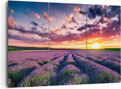 Produktbild von Bild auf Leinwand - Leinwandbild - Lavendel Berge Feld - 165x110cm - Wand Bild - Wanddeko - Leinwanddruck - Bilder - Kunstdruck - Wanddekoration - Leinwand bilder - Wandkunst - CE165x110-3816
