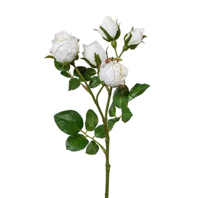 Produktbild von GASPER Polyantharose Weiß Blüten & Knospen 38 cm - Kunstblumen