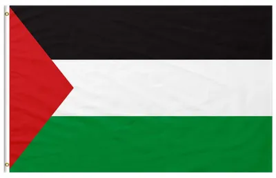 Palästina-Flagge 150x90 cm, wetterfest, Polyester, mit Ösen