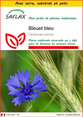 Image de SAFLAX Ensemble de culture - Bleuet bleu - 27000 graines - Centaurea