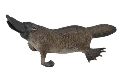 Produktbild von Wildlife Schnabeltier 9cm