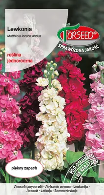 Produktbild von Excelsior Sommer Levconia Samenmischung 0.5g - Torseed