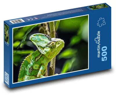 Zdjęcie produktu dla Puzzle 500 Kameleon w Dżungli - martinpuzzle