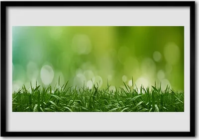 Produktbild von Bild 100x70 MDF-Rahmen Wandkunst Gras Natur Pflanze