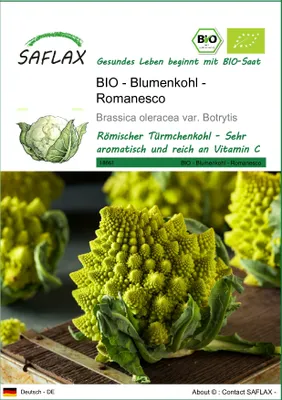 Produktbild von SAFLAX - BIO - Blumenkohl - Romanesco - Brassica oleracea var. Botrytis - 50 Samen