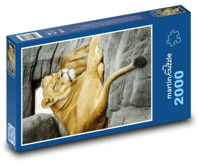 Zdjęcie produktu dla martinpuzzle - Puzzle 2000 - Lwów
