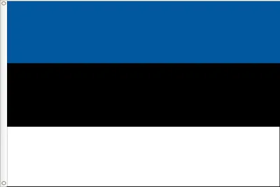 Estland Flagge, Premium, 150 x 90 cm, Polyester