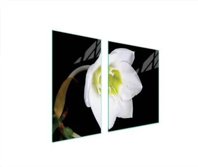 Produktbild von Glasschutzplatte Für Herd 90X52 Orchidee
