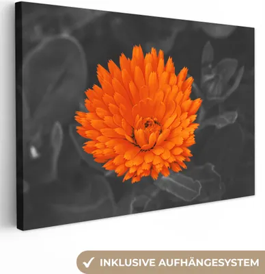 Produktbild von OneMillionCanvasses® - Leinwandbilder - 150x100 cm, Blumen - Orange - Schwarz - Weiß, Wandbilder Kunstdruck Wanddekoration