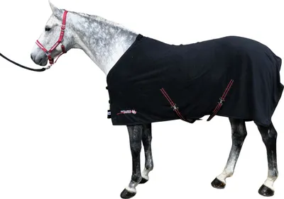 Produktbild von Horse Guard Infrarot Fleecedecke Pferde Abschwitzdecke schwarz versch. Größe , Größe:165 cm