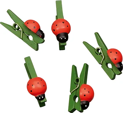 Produktbild von KNORR prandell 218001537 Marienkäferklammer 2,5cm 24er