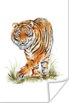 Produktbild von MuchoWow® Poster Tiger - Beine - Gras 80x120 cm - Papierdruck