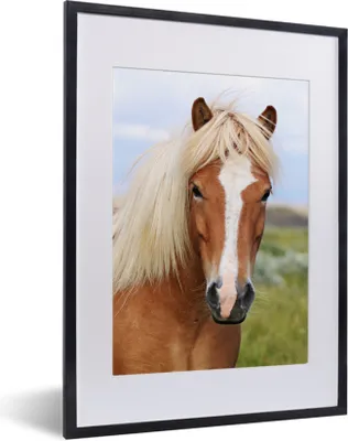 Produktbild von MuchoWow® MuchoWow® Gerahmtes Poster Porträt eines Islandpferdes 30x40 cm - Poster mit zchwarzem Bilderrahmen - Wandposter Schlafzimmer